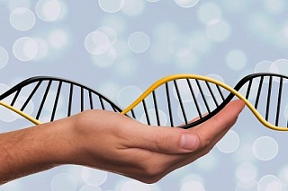 Scientists are ready to develop the first DNA printer in Russia