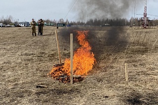 TSU patents a system for early detection of wildfires