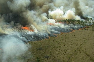 Scientists will learn how fires change world ecosystems