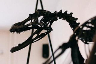 Paleontology students will study a dinosaur skeleton printed in 3D
