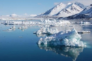 TSU will contribute to the restoring ecosystems of the Arctic