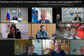 Russian and EU experts discussed education after COVID-19 