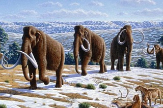 Paleontologists learn where mammoths survived severe times